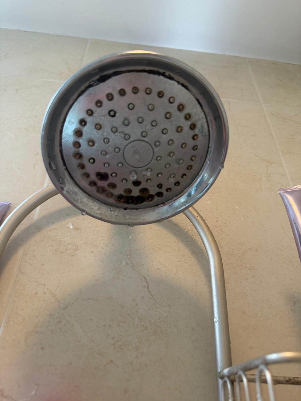 Showerhead before cleaning
